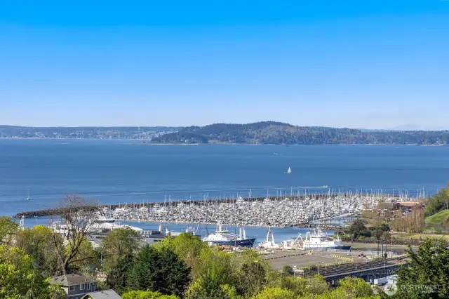 -Watch the cruise ships come and go from Pier 91.