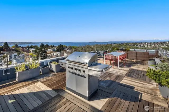 -Host summer BBQs beyond comparison on the gas-plumbed rooftop deck!
