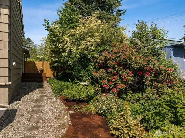Side yard leading to the front door is flanked with beauty in the mature landscaping greenery and beautiful blooms just starting to pop!