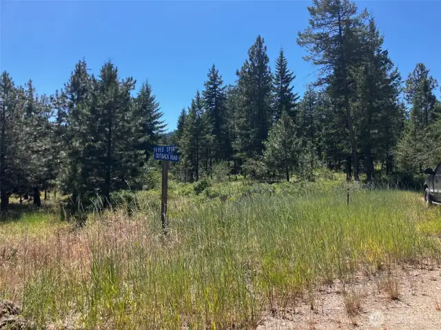 Northeast (lower) corner of the property.