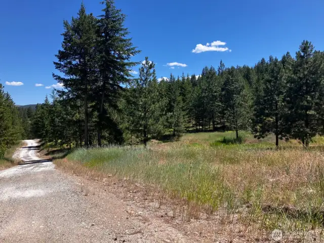 Outback Road, looking to the east. The road that accesses the lower part of the property.