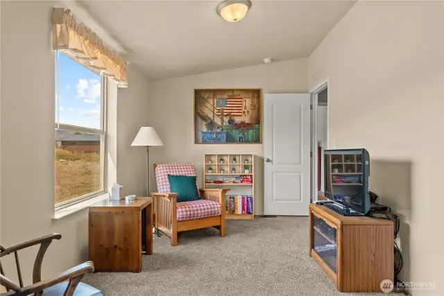 Bonus room, could be a bedroom