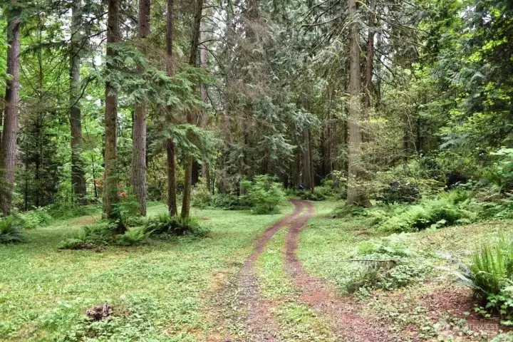 Endless exploration.