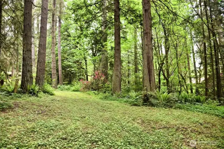 Mary's Garden.