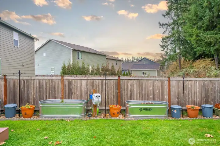 Back yard - garden area
