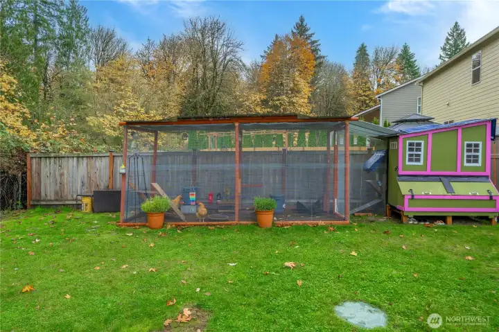 Back yard - Chicken coop