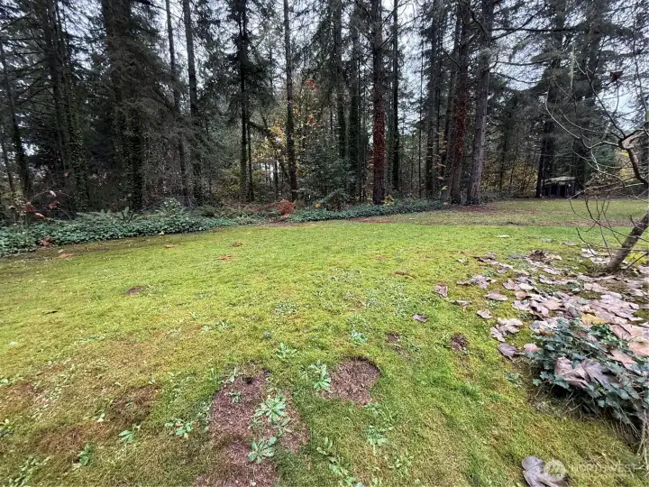 Parking or play space