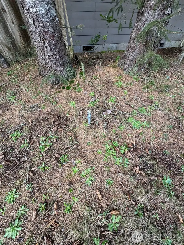 Water Hookup on Property.