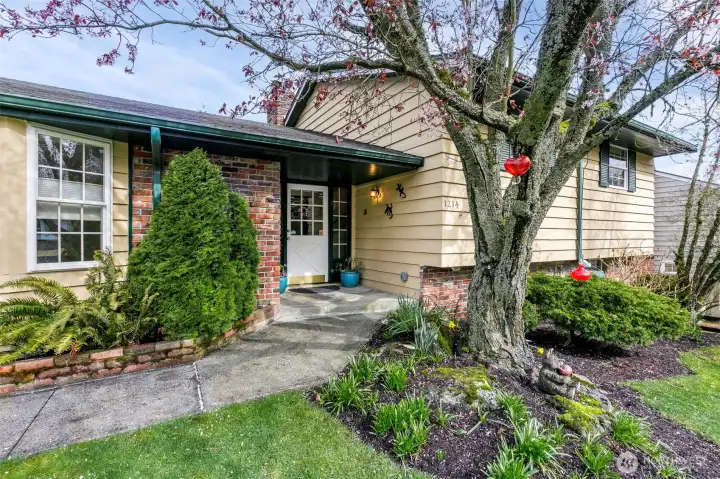 Welcome to Broadview