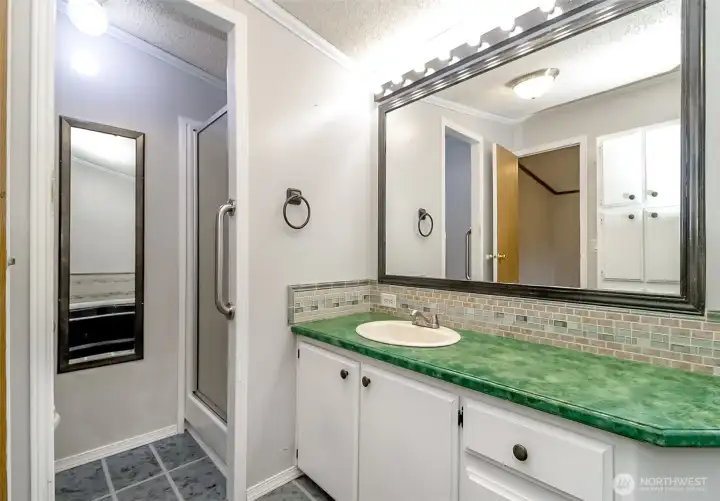 Primary bedroom bathroom. Step in shower & soaking tub area