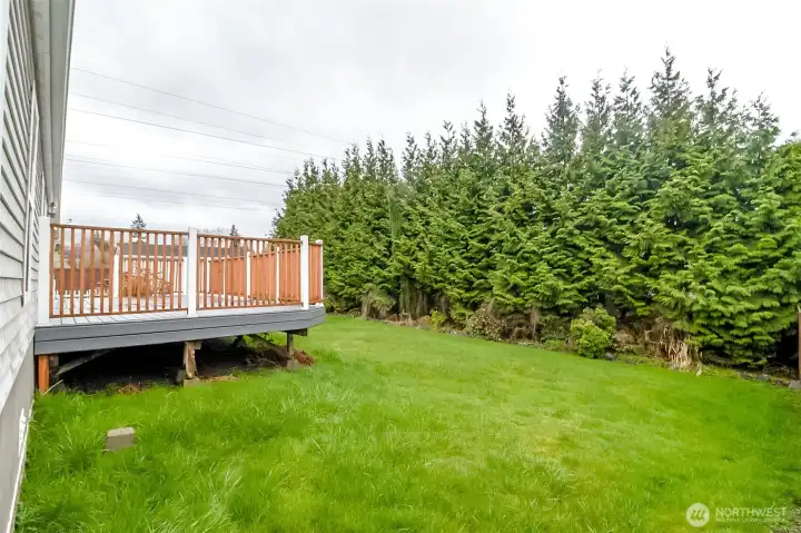 Side view of the deck and privacy buffer