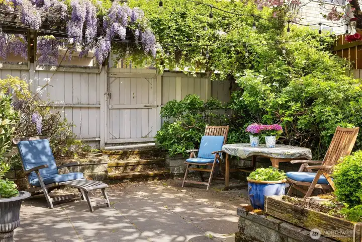Back patio in the springtime