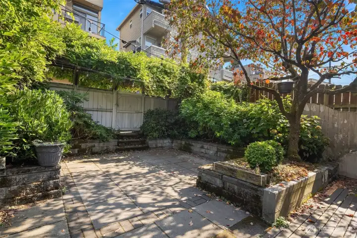 Back patio in the fall