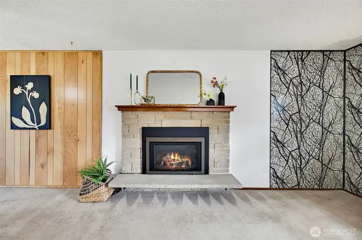 Gas Fireplace Insert & Fun Retro Paneling