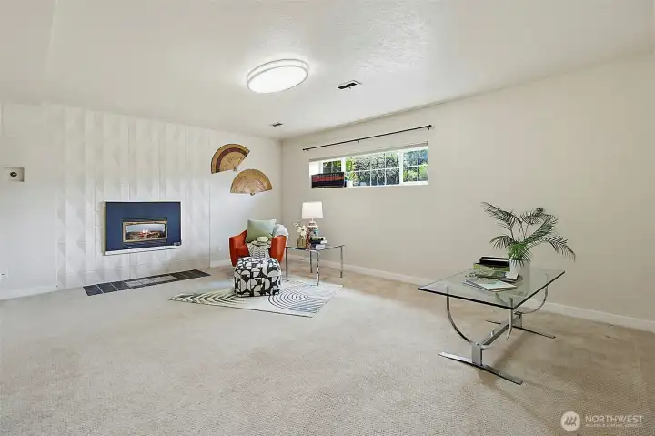 Lower Level Rec Room