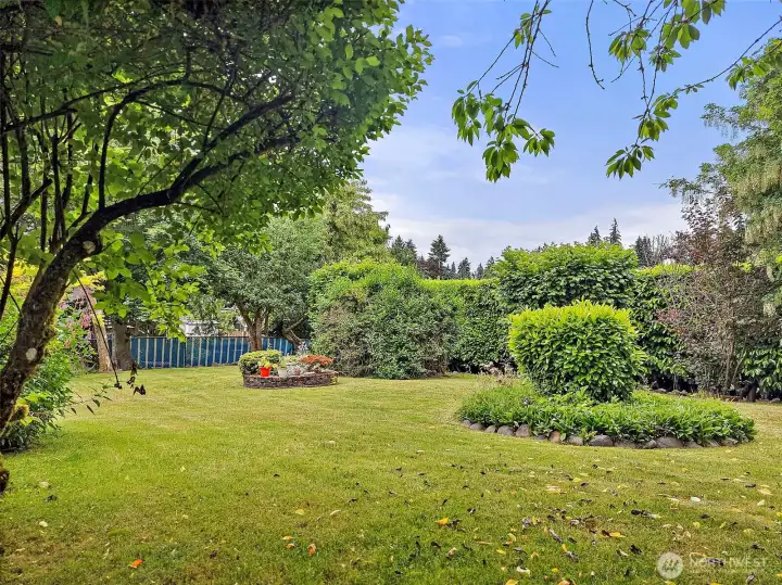 Amazingly Private Back Yard