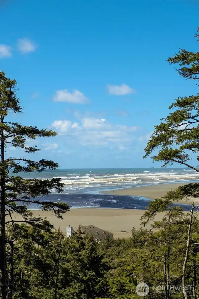 Take in the views of Joe Creek and downtown Pacific Beach where the kite festival showcases their kites!  Watch the weather roll in and out from this beautiful location!