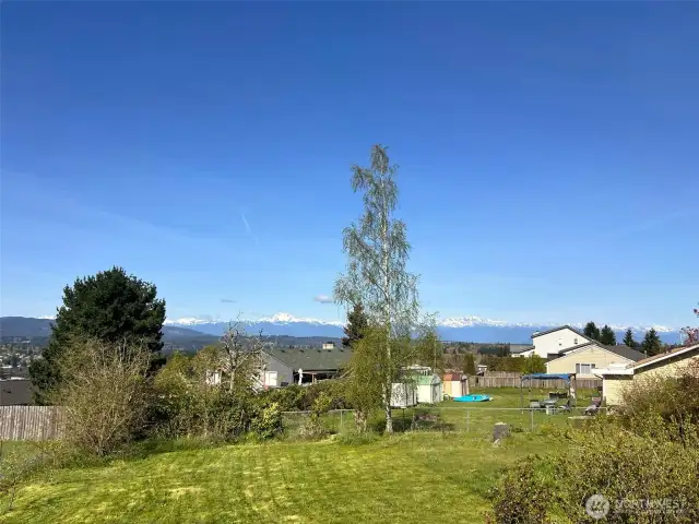 Views of snowcapped Olympics
