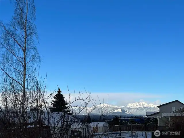 Views of snowcapped Olympics.