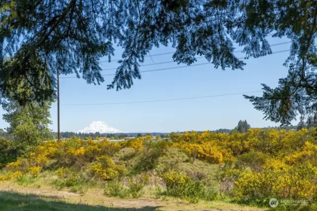 Beyond the fence is a turf farm offering open space and a view of Mt. Rainier!
