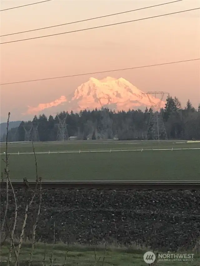 Mount Rainier.
