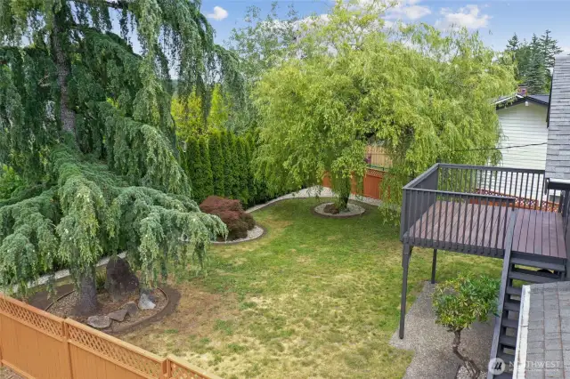 Huge fully fenced back yard!