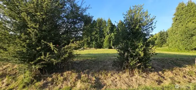 View from Pennsylvania St.