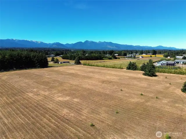 Welcome to Vogt Road in Port Angeles, WA!