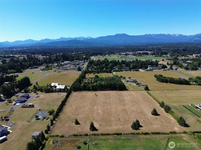 Great 5 Acre Parcel