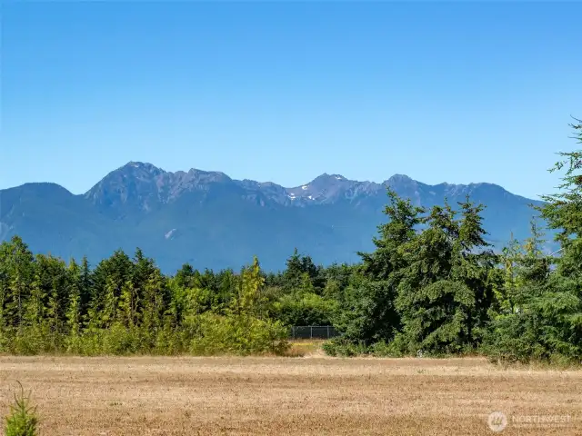 Gorgeous Mountain Views