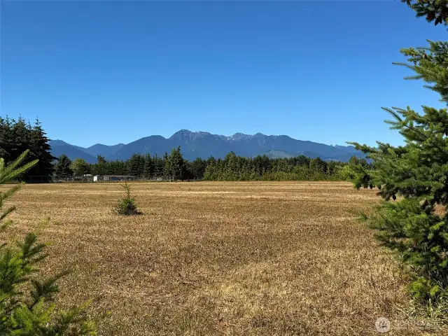 You'll LOVE Living Here!