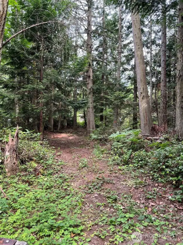 Drive leading to main road