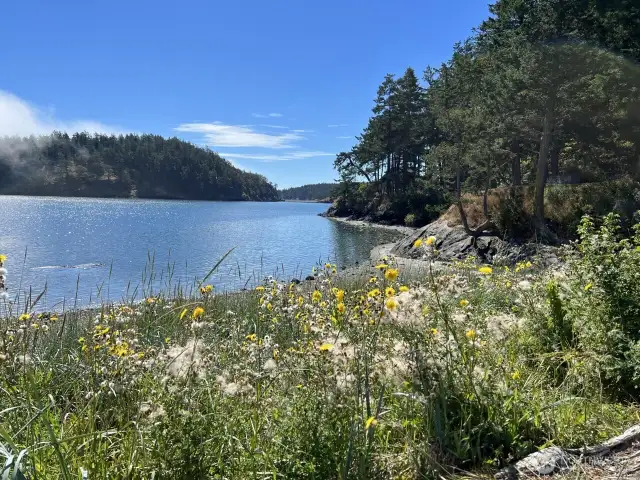 Looking towards the preservation trust lands, a short kayak away.