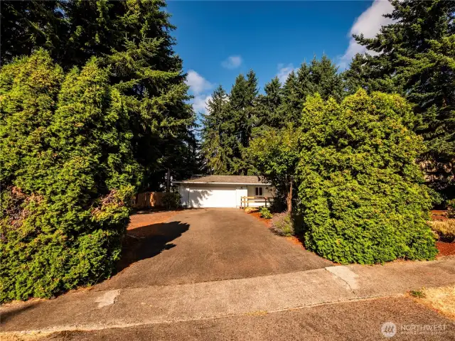 LOVE THIS DRIVEWAY