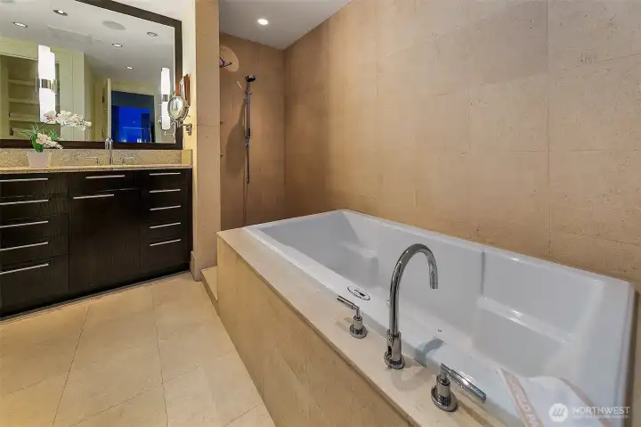 primary bath with walk in shower and oversized soaking tub