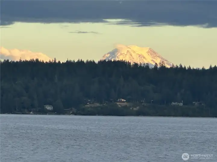 Mt Rainier views