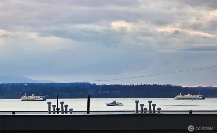 Bainbridge ferries and a fast ferry right to downtown and back!