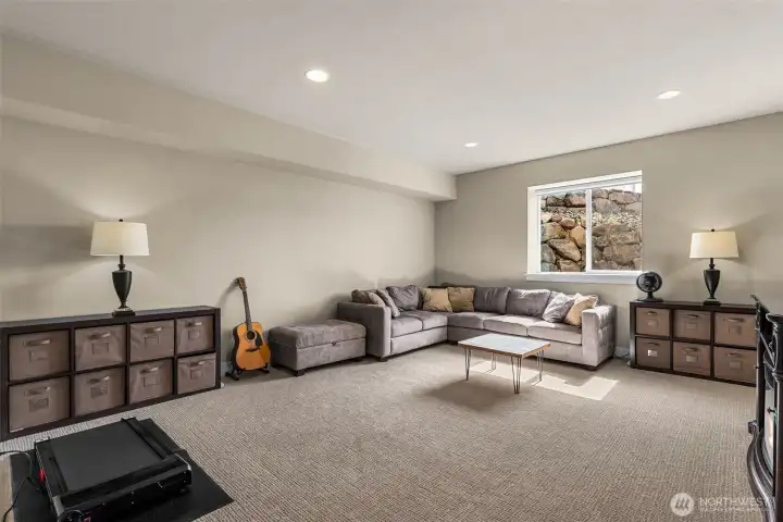 Lower Level family room Lower Level family room