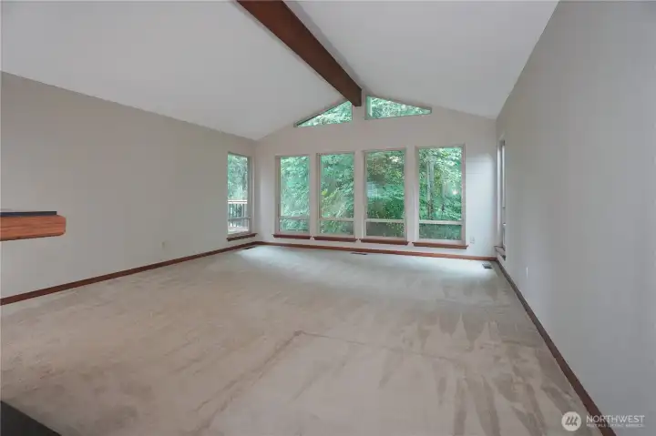 Livingroom windows to the back yard.