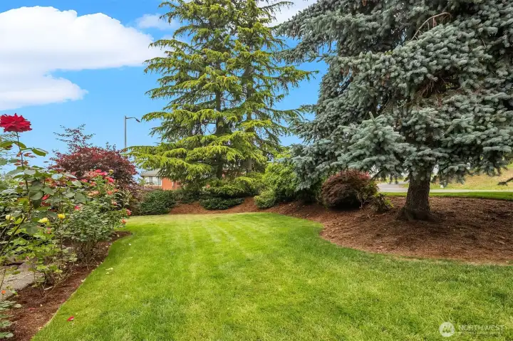 Mature landscaping.