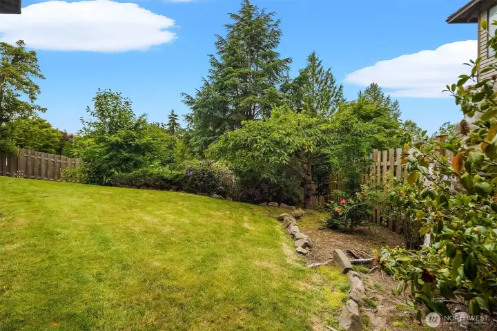 Back yard with mature landscaping.