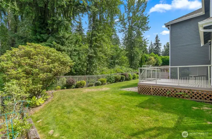 Large grassy lawn