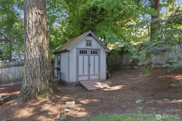 shed shed
