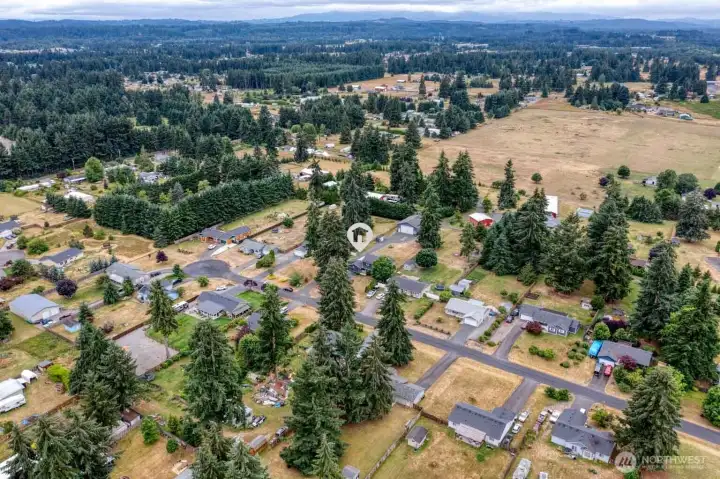 Aerial Photo of Neighborhood