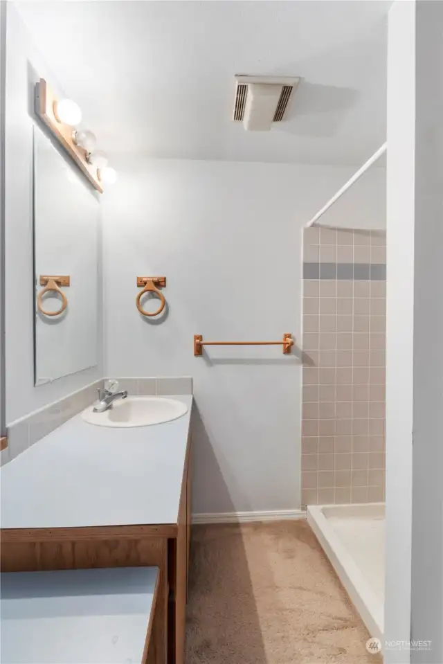 Huge counter space in bathroom