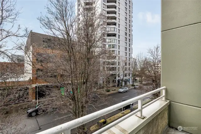 View looking north from one of the 2 decks from condo. In the spring, these trees provide a lovely green canopy in front of the large condo windows