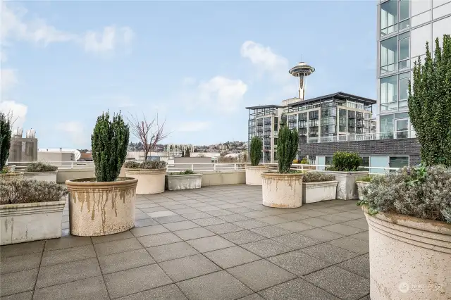 This is half of the large, community deck on the 7th floor.  Soak in views of the water, space needle, Seattle center and more any time!