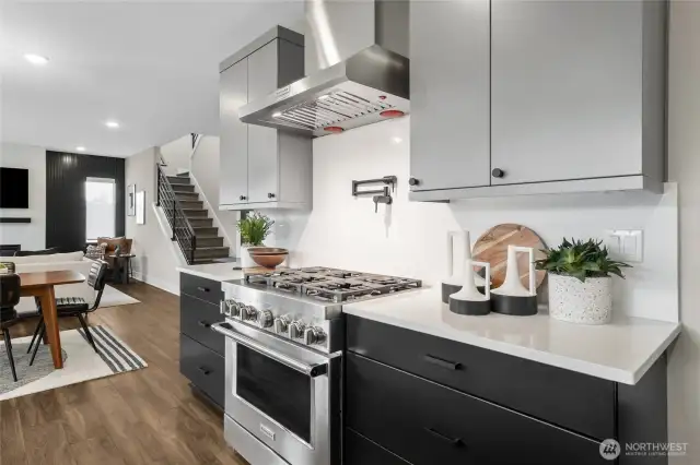 Gourmet kitchen