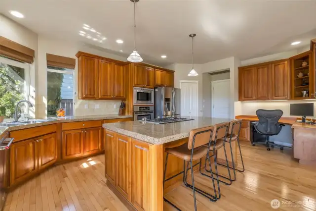 Gourmet kitchen