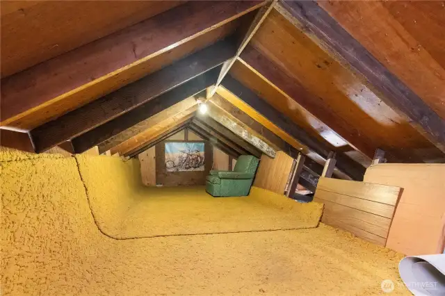 Loft area above the garage original built as a hang out but great for storage